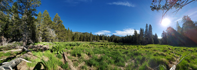 Round Valley Meadow